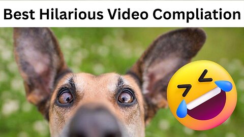 Checkout these perfect comedy duo! 😹🐶