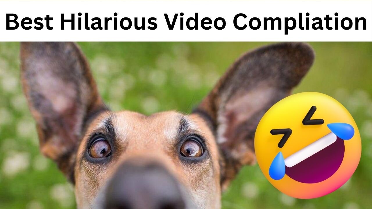 Checkout these perfect comedy duo! 😹🐶