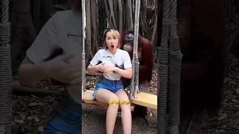 Funny Animals #funnyanimals #animals #pets #shorts