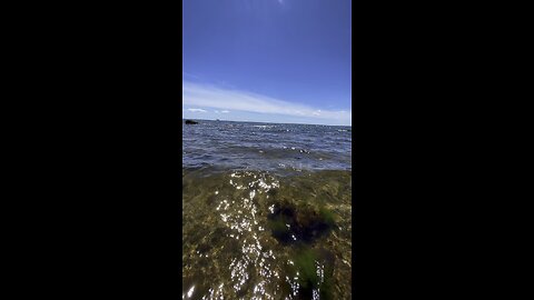 Soothing Ocean Waves