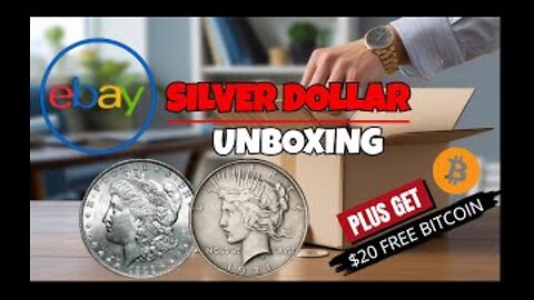 Opening a Box of Silver Dollars From eBay Was Wild!
