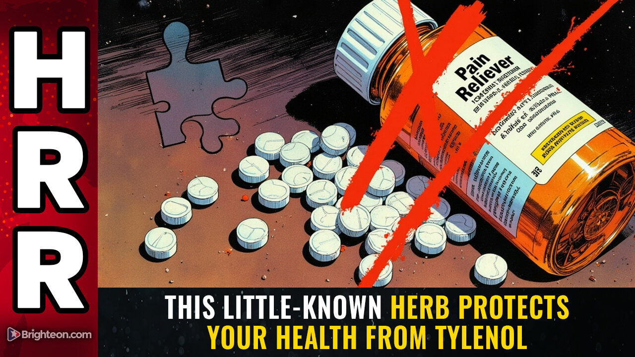 This little-known herb protects your health from TYLENOL