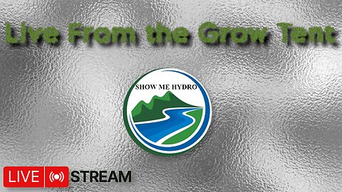 Growing Donutz Triploid & Lilac Diesel in RDWC