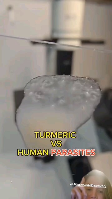 Turmeric Kills Parasites