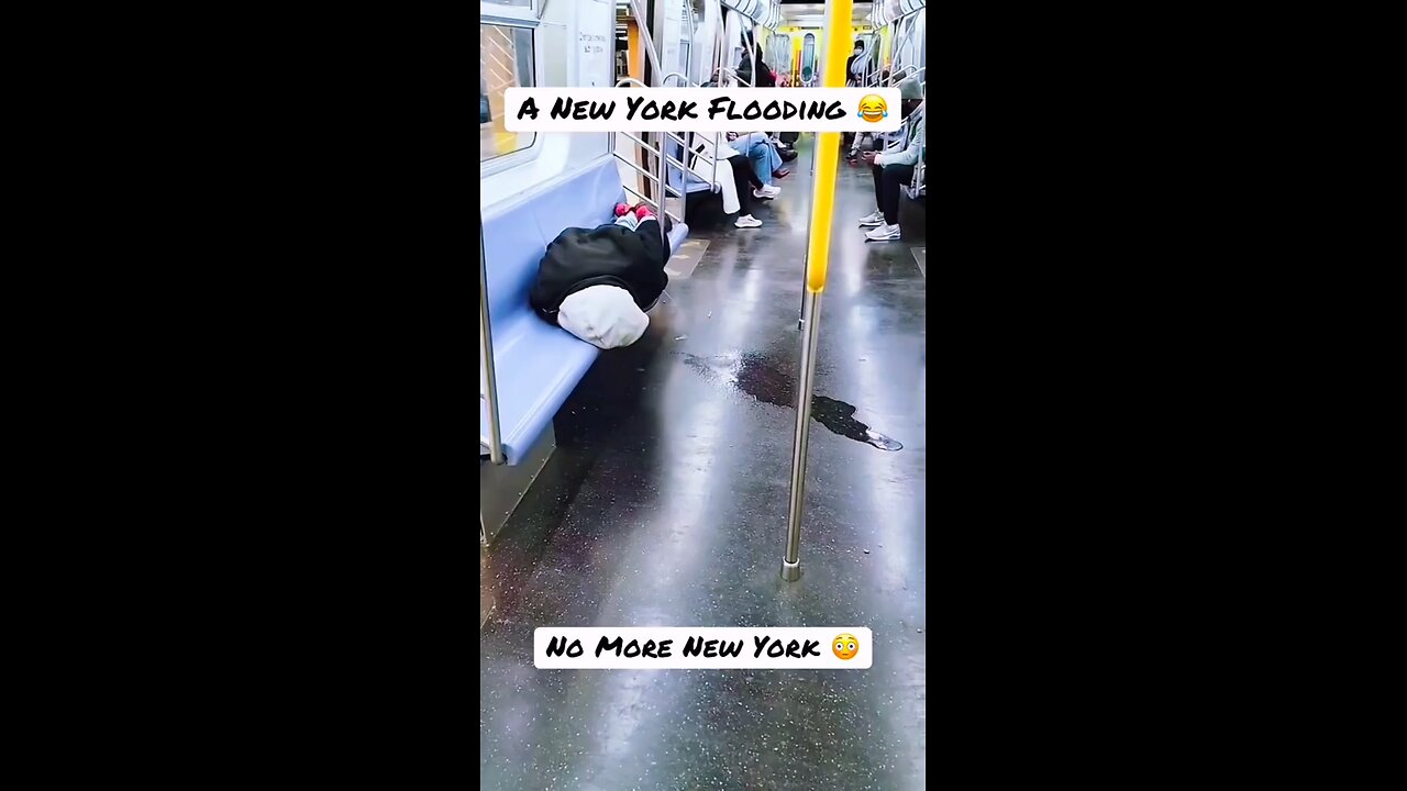 Average everyday in nyc subway…#funny #funnyvideos #nyc #subway #usatiktok