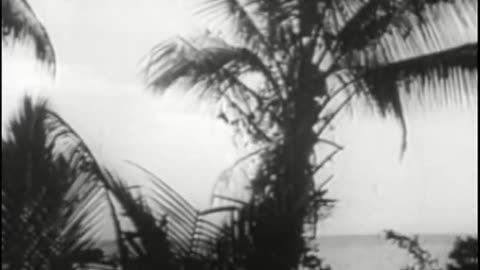 Secrets of War Season 4, Ep 13_ Secret Submarines in World War II
