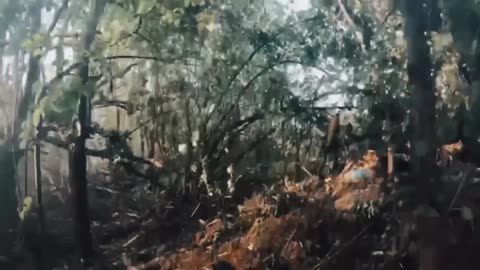 New Combat Footage
