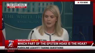 Which Part Of The Epstein Hoax Is The Hoax?