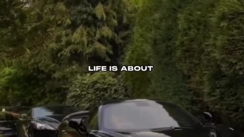 Life is all about success, hope you understand!