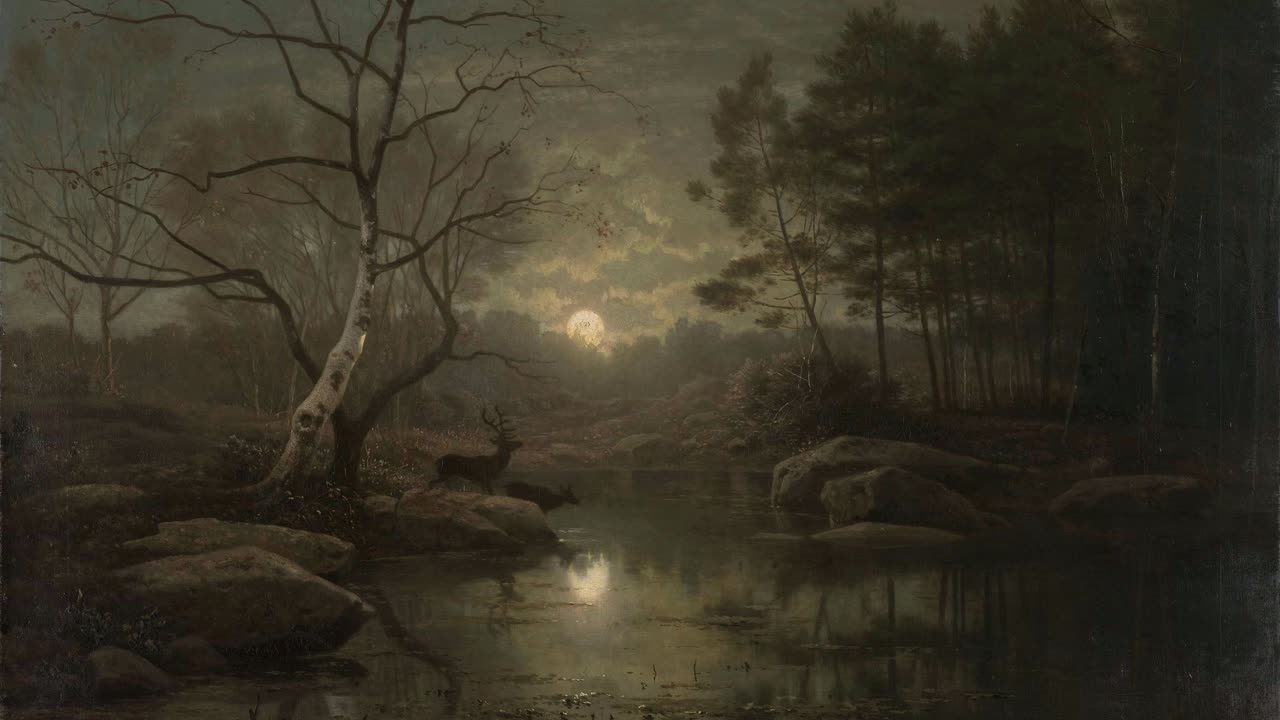 Accept Setbacks 🪨 Herbal/Plant Frequency 🪻 396hz 💫 Rossini 🎶