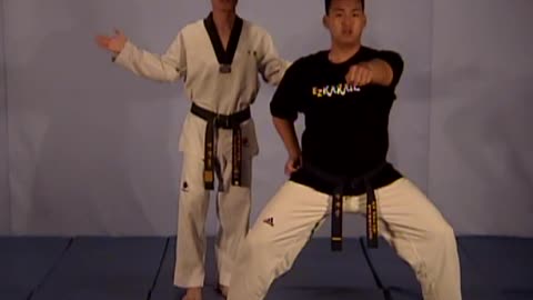 TaeKwonDo Martial Arts Self Defense Techniques 1