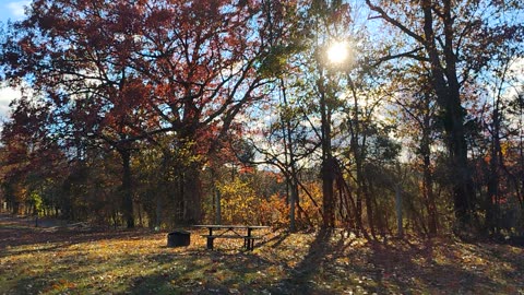 Arrived at the Young's Creek Campground