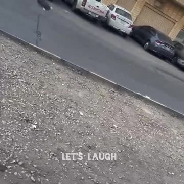 Big funny fails 😂😂😂#shortvideo #funnyshort #fail