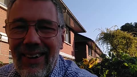 Zonnebloem wonder - Geknakt, maar toch tot bloei gekomen #motivation #spiritueel #coaching