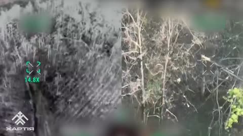 NGU "Khartiya" brigade destroyed 12 occupiers in the north of the Kharkiv region