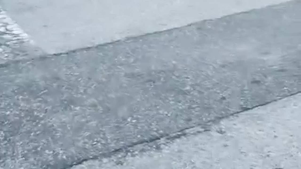 negros chimp out because CI CIs Pizza closes early