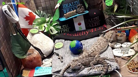 ⭕2025 Live Stream Day 15🔴 🍏Healthy4Life🐉 Mascots 🍎🐲 Meet Kobe & Health A Day In The Life Of Bearded Dragons🐲Day16🐉⭕Live🦎Stream