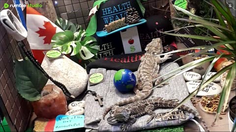 ⭕2025 Live Stream Day 15🔴 🍏Healthy4Life🐉 Mascots 🍎🐲 Meet Kobe & Health A Day In The Life Of Bearded Dragons🐲Day16🐉⭕Live🦎Stream