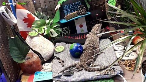 ⭕2025 Live Stream Day 15🔴 🍏Healthy4Life🐉 Mascots 🍎🐲 Meet Kobe & Health A Day In The Life Of Bearded Dragons🐲Day16🐉⭕Live🦎Stream