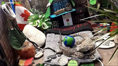 ⭕2025 Live Stream Day 15🔴 🍏Healthy4Life🐉 Mascots 🍎🐲 Meet Kobe & Health A Day In The Life Of Bearded Dragons🐲Day16🐉⭕Live🦎Stream