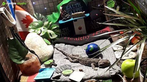 🔴 2025🔴03-17 🍁 Live Stream Day 16🔴 🍏Healthy4Life🐉 Mascots 🍎🐲 Meet Kobe & Health A Day In The Life Of Bearded Dragons🐲Day16🐉⭕Live🦎Stream