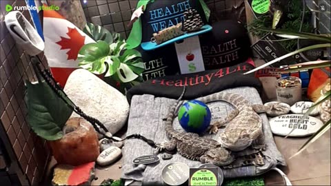 ⭕2025 Live Stream Day 15🔴 🍏Healthy4Life🐉 Mascots 🍎🐲 Meet Kobe & Health A Day In The Life Of Bearded Dragons🐲Day16🐉⭕Live🦎Stream