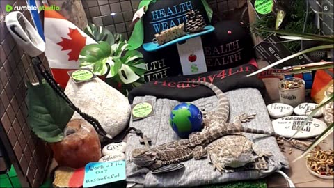 ⭕2025 Live Stream Day 15🔴 🍏Healthy4Life🐉 Mascots 🍎🐲 Meet Kobe & Health A Day In The Life Of Bearded Dragons🐲Day16🐉⭕Live🦎Stream