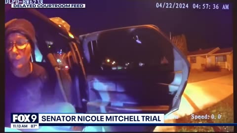Police bodycam reveals Sen. Nicole Mitchell's burglary arrest