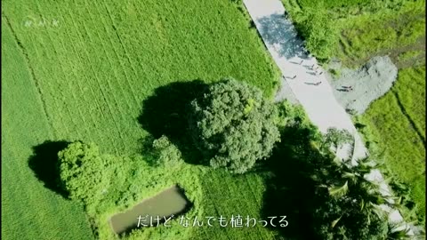 BS1スペシャル 「マンゴーの樹の下で～こうして私は地獄を生きた」（前編）