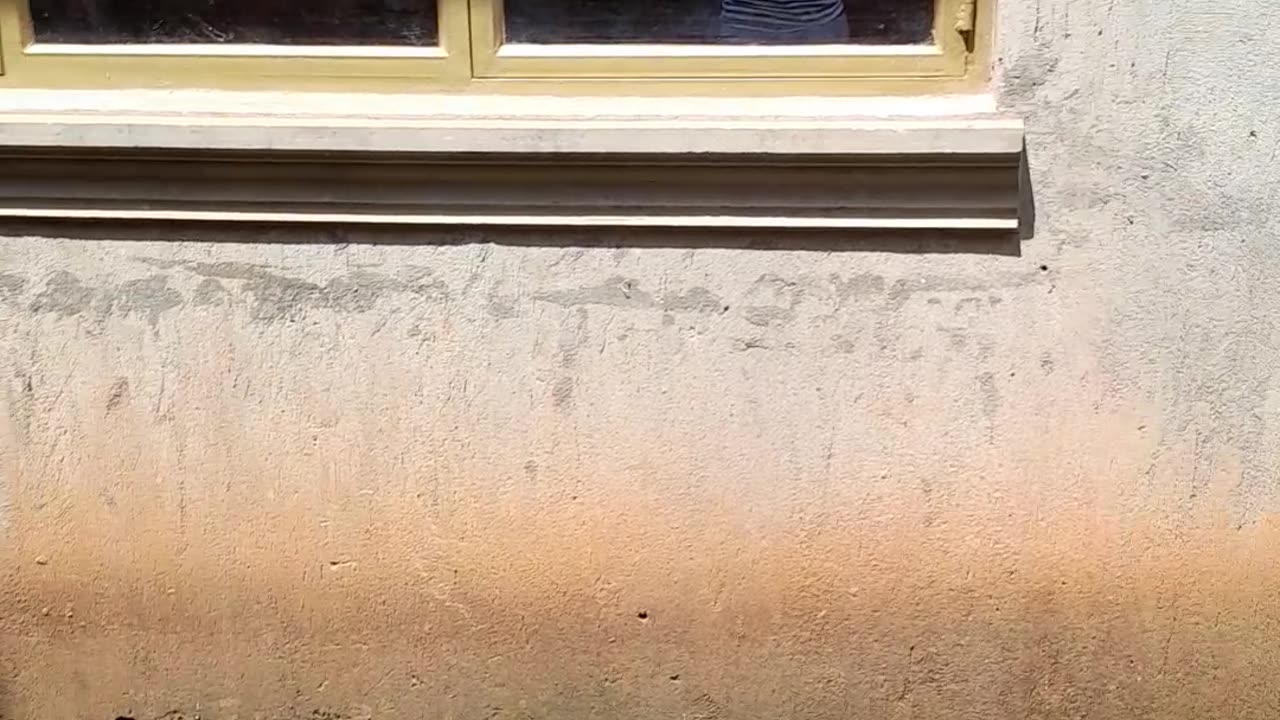 Hi