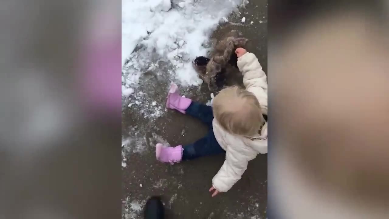 Funny Babies Playing with Dogs 🐶👶 2025 Compilation 👌Funny Baby and Pets 😍[Part 1]👍