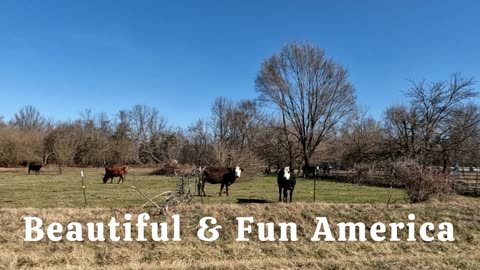 BLACKFOOT Highway Song & LYNYRD SKYNYRD Red White & Blue