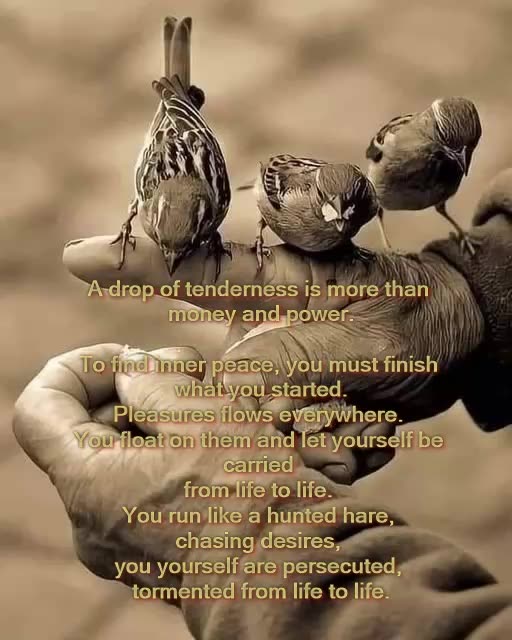 A drop of tenderness is more than