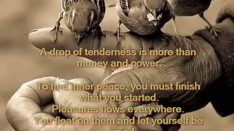 A drop of tenderness is more than