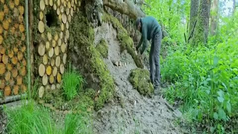 Building a Cozy Bushcraft Dugout in the Rainforest Survival Shelter & J