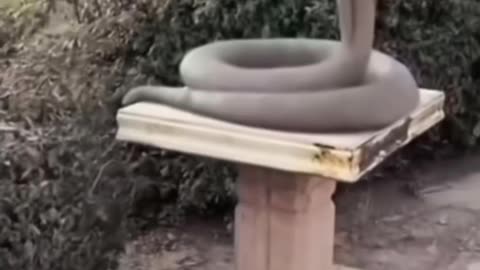 Oldest snake statue