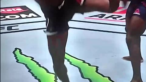 Ufc knockoot kick 👊