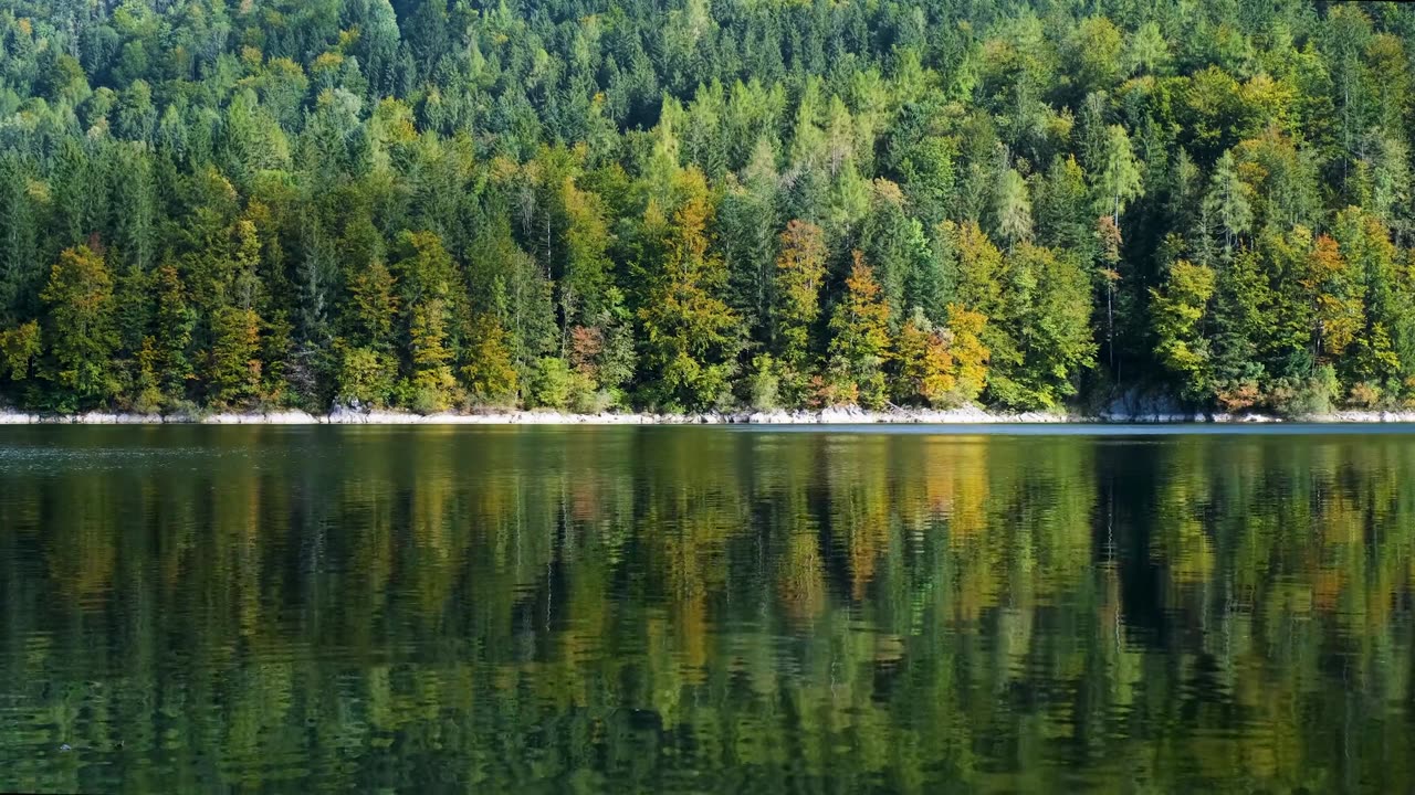 Trees, lake, fall