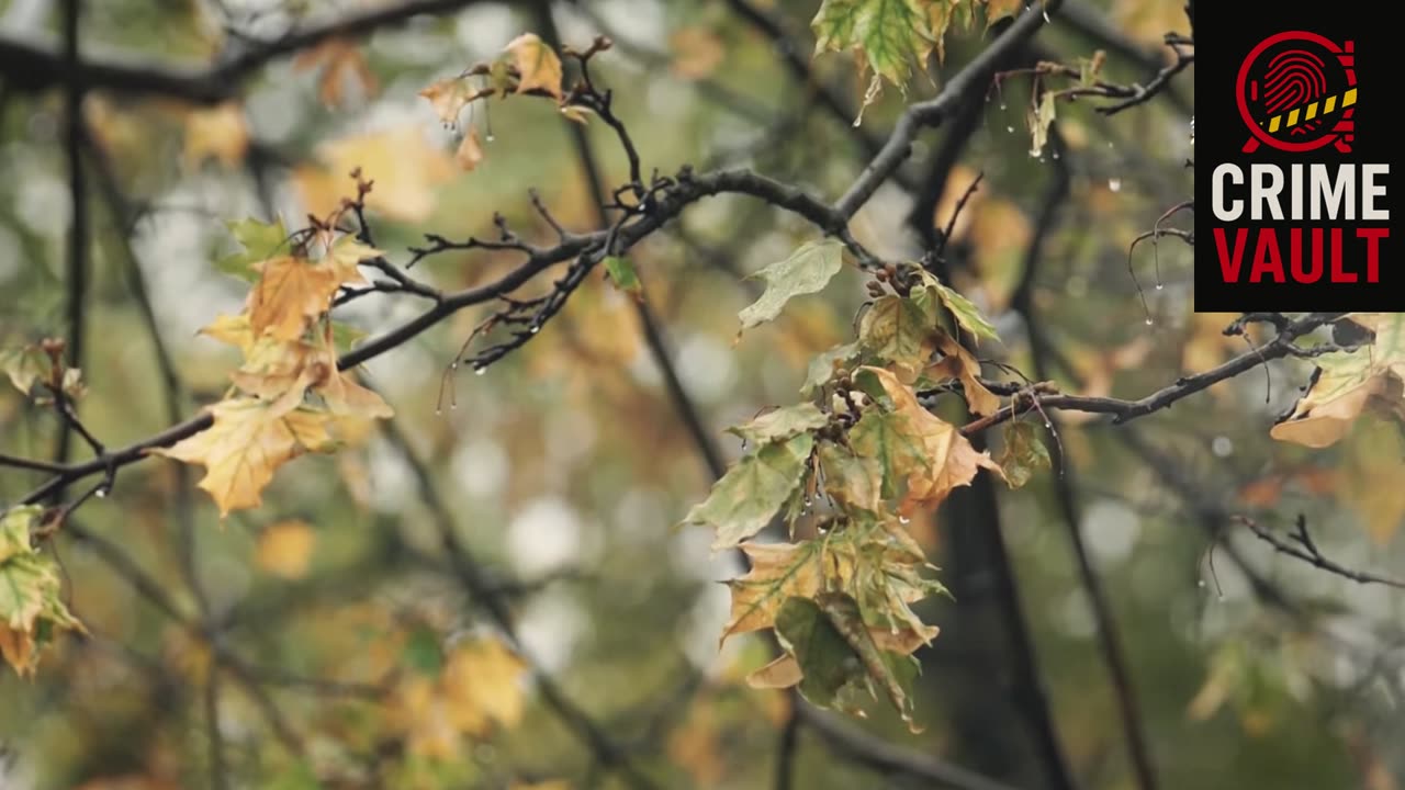“She Got Into a Car and Was Never Seen Again | The Hang Lee Disappearance”