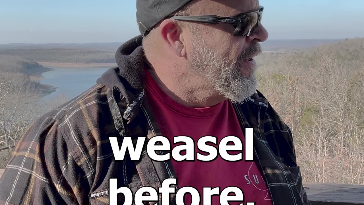 Pop goes the weasal