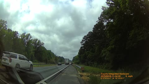 Loose Kangaroo Causes Chaos On Alabama Interstate