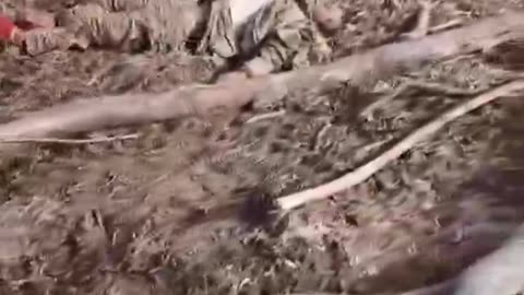 Russian soldiers