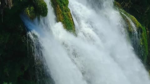 Echoes of the Waterfall 💦🌿 | Sounds of Nature