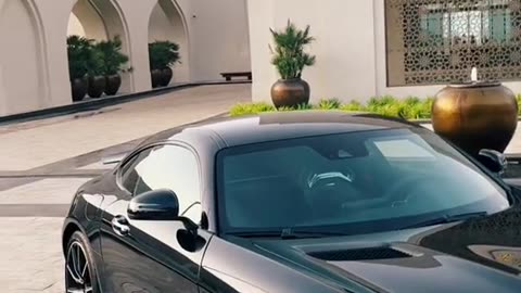 ✨🏎️ The Ultimate Dream Car is Here! | LuxuryCarsNation