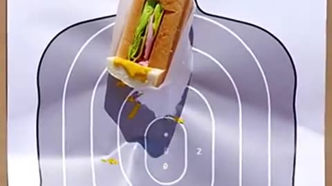 The M-720 Sandwich Delivery System