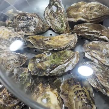Yummy cooking Oyster recipe