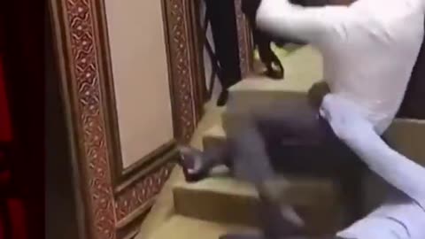 Maldives parliament descends into violence between politicians. #Maldives #Shorts #BBCNews” ✅