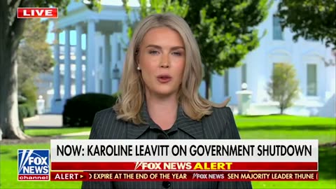 President Trump and Republicans want the government reopened immediately