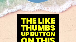 What is the Market Capitalization of a Stock?