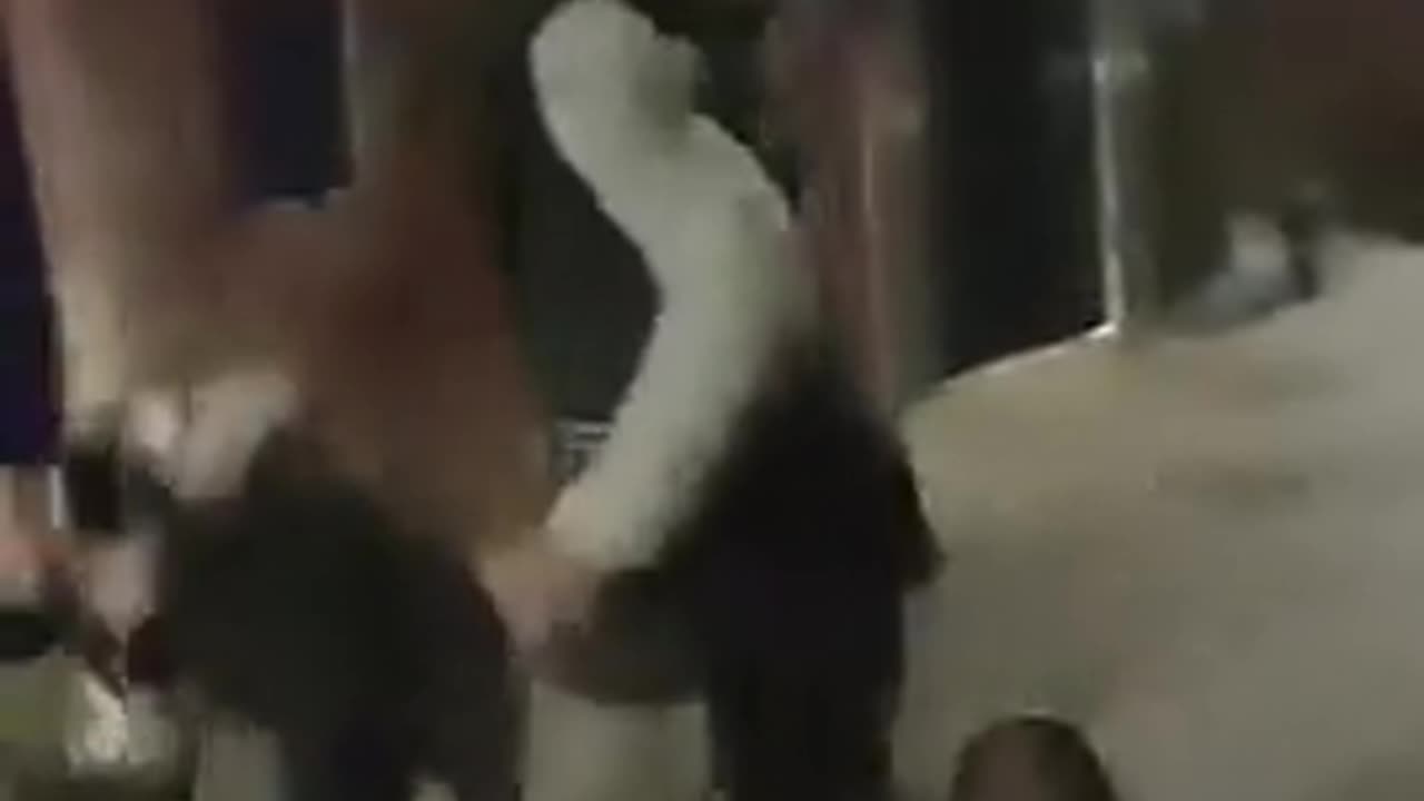 🥊🍻 Drunk Boxing Gone Wrong! | FunFM